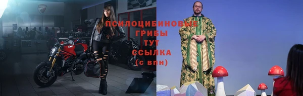 ALPHA PVP Верхний Тагил