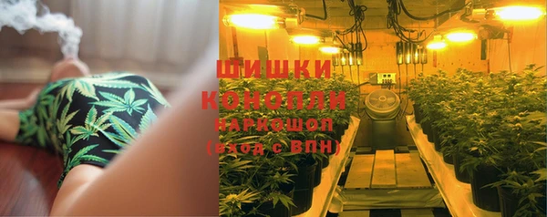 МДПВ Володарск